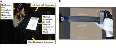 Exploring the Embodiment of a Virtual Hand in a Spatially Augmented Respiratory Biofeedback Setting